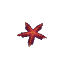 Starfish