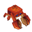 Fish Crab Item