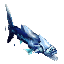 Fish Frostgill Item