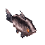 Fish Salmon Item
