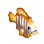 Fish Tang Sailfin Item