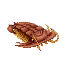 Fish Trilobite Item