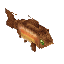 Fish Trout Rainbow Item