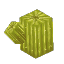Plant Cactus 1