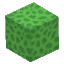 Green Coral Block