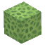 Lime Green Coral Block