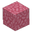 Pink Coral Block