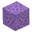 Purple Coral Block