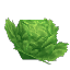 Plant Crop Lettuce Item
