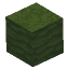 Green Mushroom Block