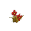 Red Arid Flower