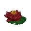 Red Waterlily