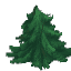 Fir Leaves - Tip