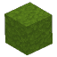 Green Moss Block
