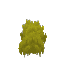 Yellow Moss