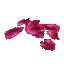 Plant Petals Blood