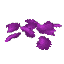 Purple Petals