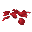 Plant Petals Red