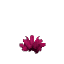 Prototype - Giant Pink Cactus Flower