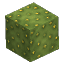 Prototype - Cactus Block 2