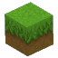 Grass