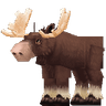 Moose Bull