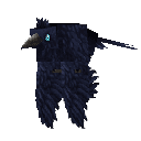 Raven
