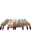 Spider Cave