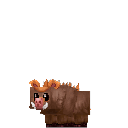 Warthog Piglet