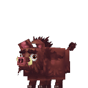 Boar
