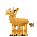 Camel Calf