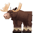 Moose Bull