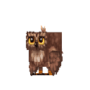 Temple Owl Brown