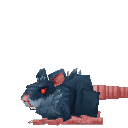 Edible Rat