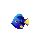 Blue Tang